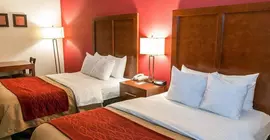 Quality Inn | Pensilvanya - Bucks County - Allentown (ve civarı) - Easton - Palmer