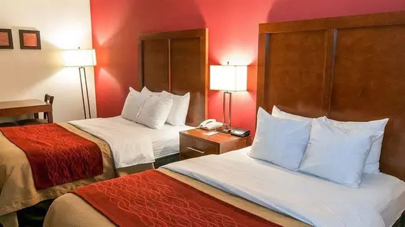 Quality Inn | Pensilvanya - Bucks County - Allentown (ve civarı) - Easton - Palmer