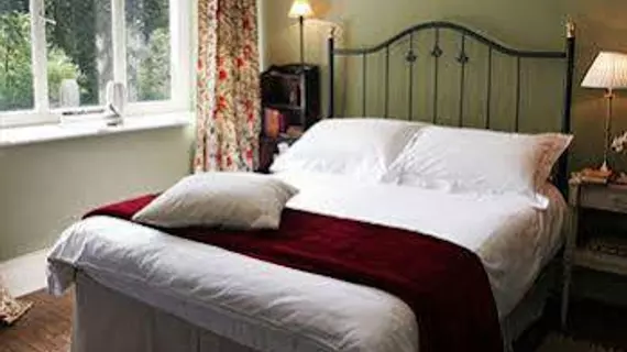 Grizedale Lodge | Cumbria (kontluk) - Ambleside