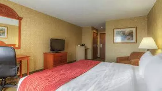 Comfort Inn & Suites | Kentucky - Owensboro (ve civarı) - Rockport