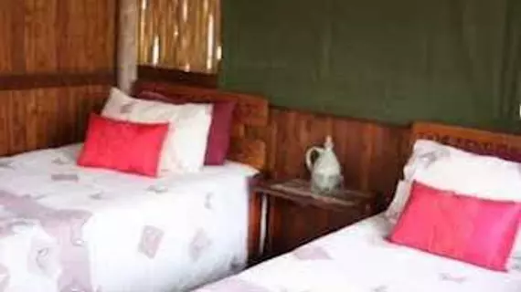 Off Beat Safaris Bush Lodge | Limpopo - Maruleng - Hoedspruit