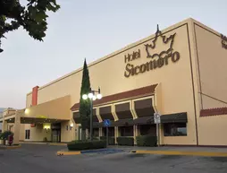 Hotel Sicomoro | Chihuahua - Chihuahua