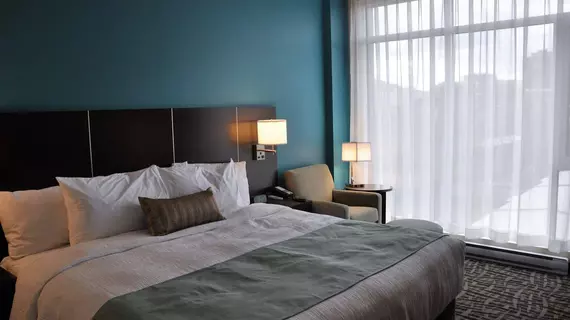 Best Western Plus Montreal | Quebec - Montreal (ve civarı) - Montreal - Downtown Montreal