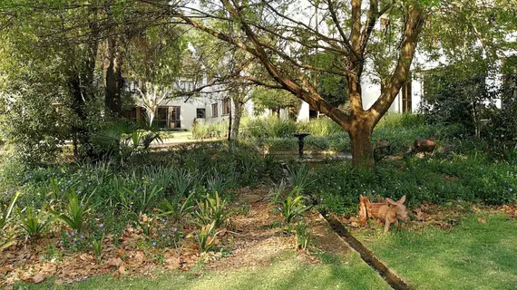 Budmarsh Private Lodge | Gauteng - City of Tshwane - Johannesburg (ve civarı) - Magaliesberg