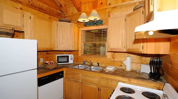 Dancing Bear Lodge | Tennessee - Gatlinburg - Pigeon Forge (ve civarı) - Townsend