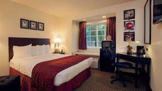 Jacksonville Plaza Hotel and Suites | Florida - Jacksonville (ve civarı) - Jacksonville