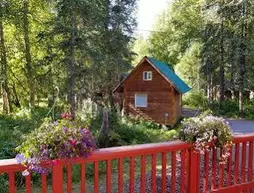 Talkeetna Hideaway | Alaska - Denali (ve civarı) - Talkeetna