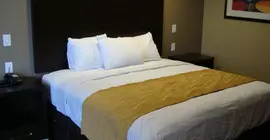 Scottish Inns & Suites | Teksas - Fort Worth (ve civarı) - Fort Worth