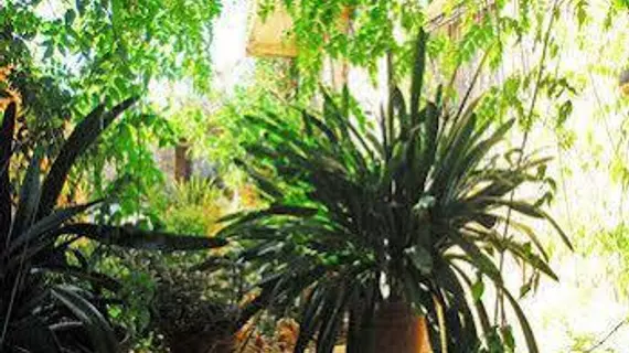 Finca Sa Cova Vella | Balearic Adaları - Mayorka Adası - Llevant