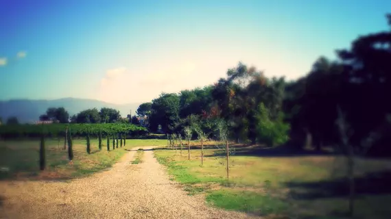 Podere le Spighe | Toskana - Arezzo (vilayet) - Castiglion Fiorentino