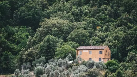 Petrolo | Toskana - Arezzo (vilayet) - Bucine