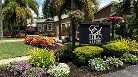 Ed Lugo Resort | Florida - Fort Lauderdale (ve civarı) - Wilton Manors