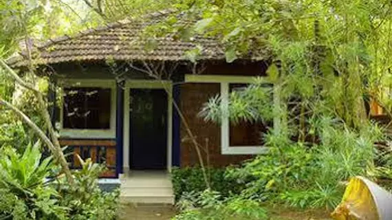 Jickys Nest | Kerala - Thiruvananthapuram Bölgesi - Varkala