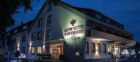 Aktiv Hotel Winterberg | Kuzey Ren-Westfalia - Hochsauerlandkreis - Winterberg