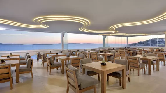 Anax Resort and Spa | Ege Adaları - Mikonos