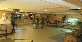 Rotana Hotel | Cidde