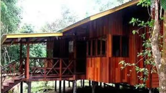 Bilit Adventure Lodge | Sabah - Kota Kinabatangan - Kampung Bilit