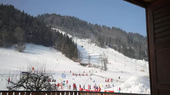 Hotel L'Aubergade | Auvergne-Rhone-Alpes - Haute-Savoie (bölge) - Morzine