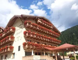 Beverly Hotel | Trentino-Alto Adige - Trento İli - Pinzolo