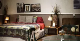 Fiddler's Inn Bed & Breakfast | New Mexico - Carlsbad (ve civarı) - Carlsbad