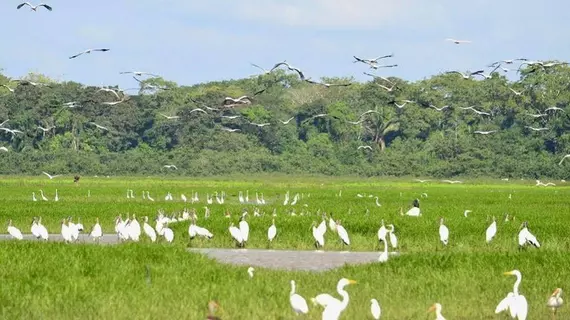 Cano Negro Wetlands Lodge | Alajuela (ili) - Los Chiles