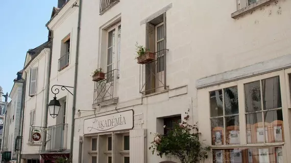 La Demeure Saint-Ours | Centre - Loire Vadisi - Indre-et-Loire (bölge) - Loches