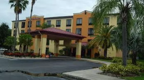 Comfort Suites Tampa | Florida - Tampa (ve civarı) - Tampa