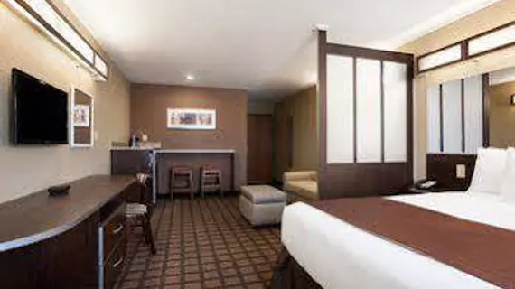 Microtel Inn & Suites Pleasanton | Teksas - Pleasanton (ve civarı) - Pleasanton