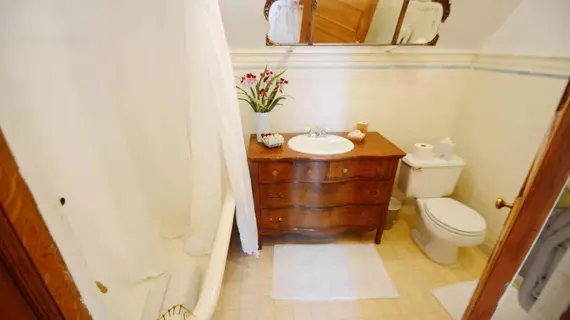 Capitol Hill Mansion Bed and Breakfast Inn | Kolorado - Denver (ve civarı) - Denver - Capitol Hill