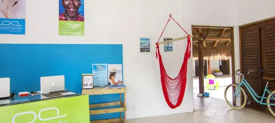 Beds Friends Hostel | Quintana Roo - Cozumel