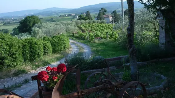 Il Ciliegio Errante | Toskana - Siena (vilayet) - Montepulciano