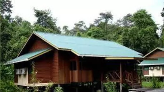 Bilit Adventure Lodge | Sabah - Kota Kinabatangan - Kampung Bilit