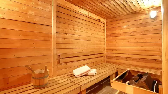 Chalet Hotel Vaccapark | Auvergne-Rhone-Alpes - Haute-Savoie (bölge) - Mieussy