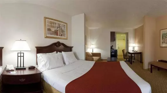 Holiday Inn Express Hotel & Suites Tampa Stadium-Airport | Florida - Tampa (ve civarı) - Tampa