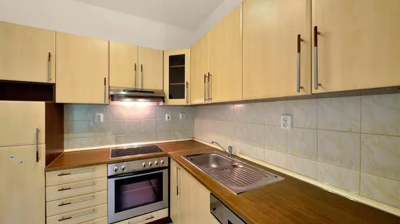 Ambiente Serviced Apartments Castle | Bratislava - Bratislava (ve civarı) - Bratislava - Stare Mesto