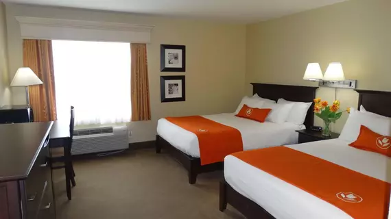 Amsterdam Inn & Suites Sussex | New Brunswick - Sussex