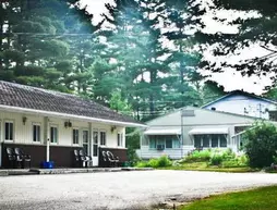 Pinedale Inn | Ontario - Muskoka - Huntsville (ve civarı) - Gravenhurst