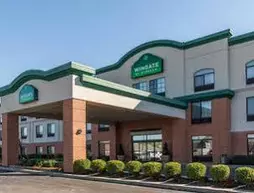 Wingate by Wyndham Airport - Rockville Rd | Indiana - Indianapolis (ve civarı) - Indianapolis