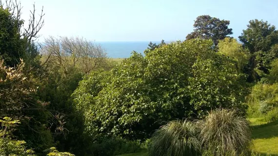 Lisle Combe | Wight Adası (kontluk) - Ventnor