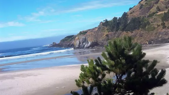 Starfish Point | Oregon - Oregon Coast - Newport - Agate Beach