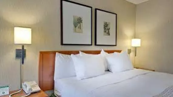 Vagabond Inn Executive Old Town | Kaliforniya - Sacramento (ve civarı) - Sacramento - Downtown Sacramento