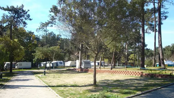 Orbitur Caminha Bungalows Caravan Park | Norte - Viana do Castelo Bölgesi - Caminha