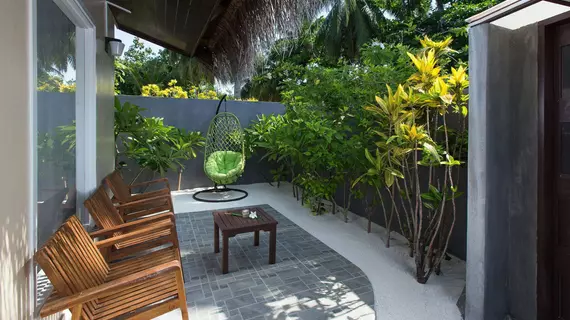 Tropical Village | Maldivler - Fehendhoo