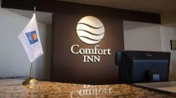 Comfort Inn Veracruz | Veracruz - Veracruz (ve civarı) - Veracruz - Malecon