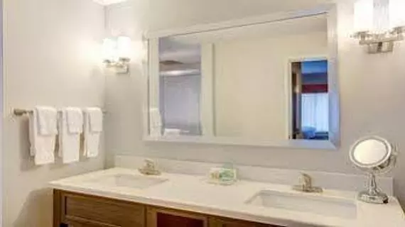 Holiday Inn Hotel & Suites Lafayette North | Louisiana - Lafayette (ve civarı) - Lafayette