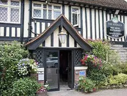 Roebuck | Doğu Sussex (kontluk) - Wadhurst - High Weald