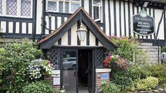 Roebuck | Doğu Sussex (kontluk) - Wadhurst - High Weald