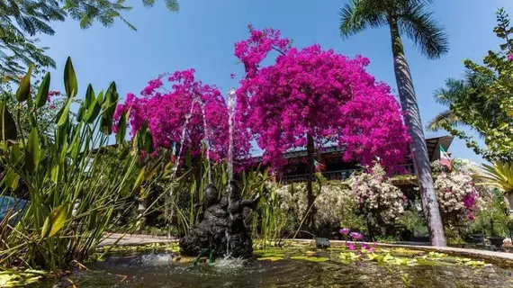 Casa Alegre | Nayarit - Bahía de Banderas - Puerto Vallarta (ve civarı) - Puerto Vallarta - Romantic Zone