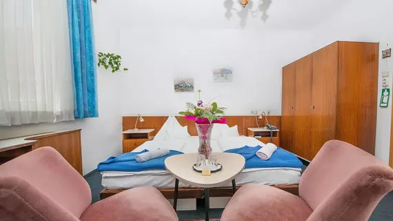 Pension Dr. Geissler | Vienna (eyalet) - Viyana - Innere Stadt