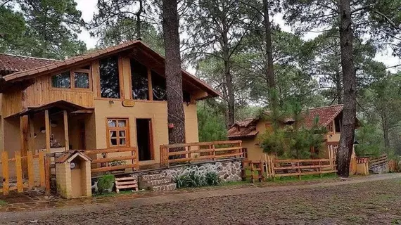 Cabanas Los Abuelos | Jalisco - Guadalajara (ve civarı) - Mazamitla